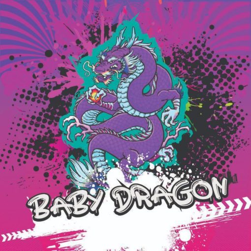 The Don Hookah - Baby Dragon - 200g